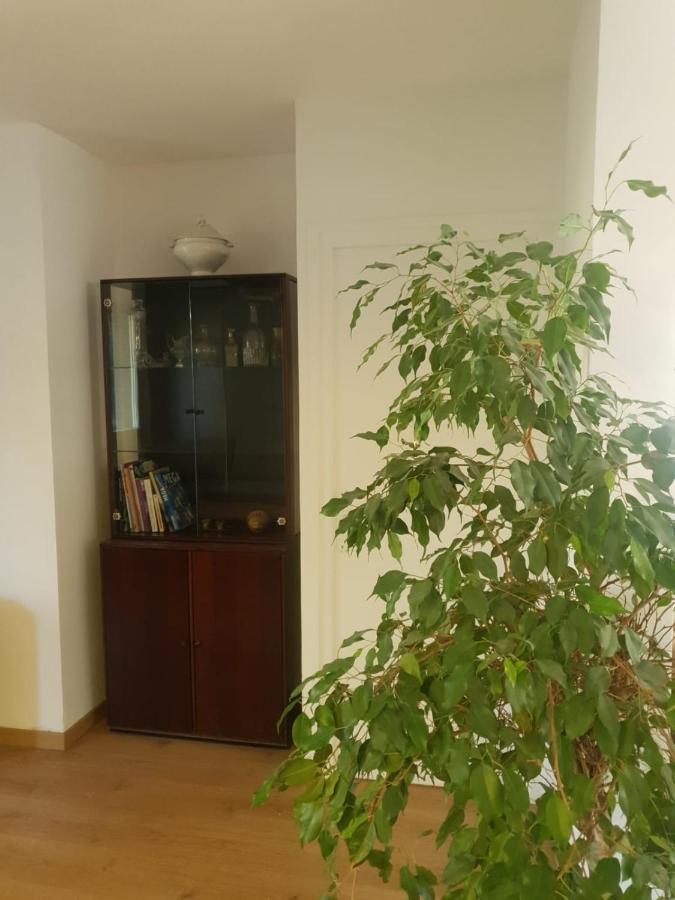 Appartement Cosy Parc Thermal Thonon-les-Bains Exterior photo